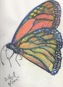 Loose sketch of monarch butterfly